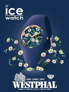 ICE Watch